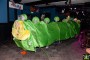 Thumbs/tn_Animal Party 003.jpg